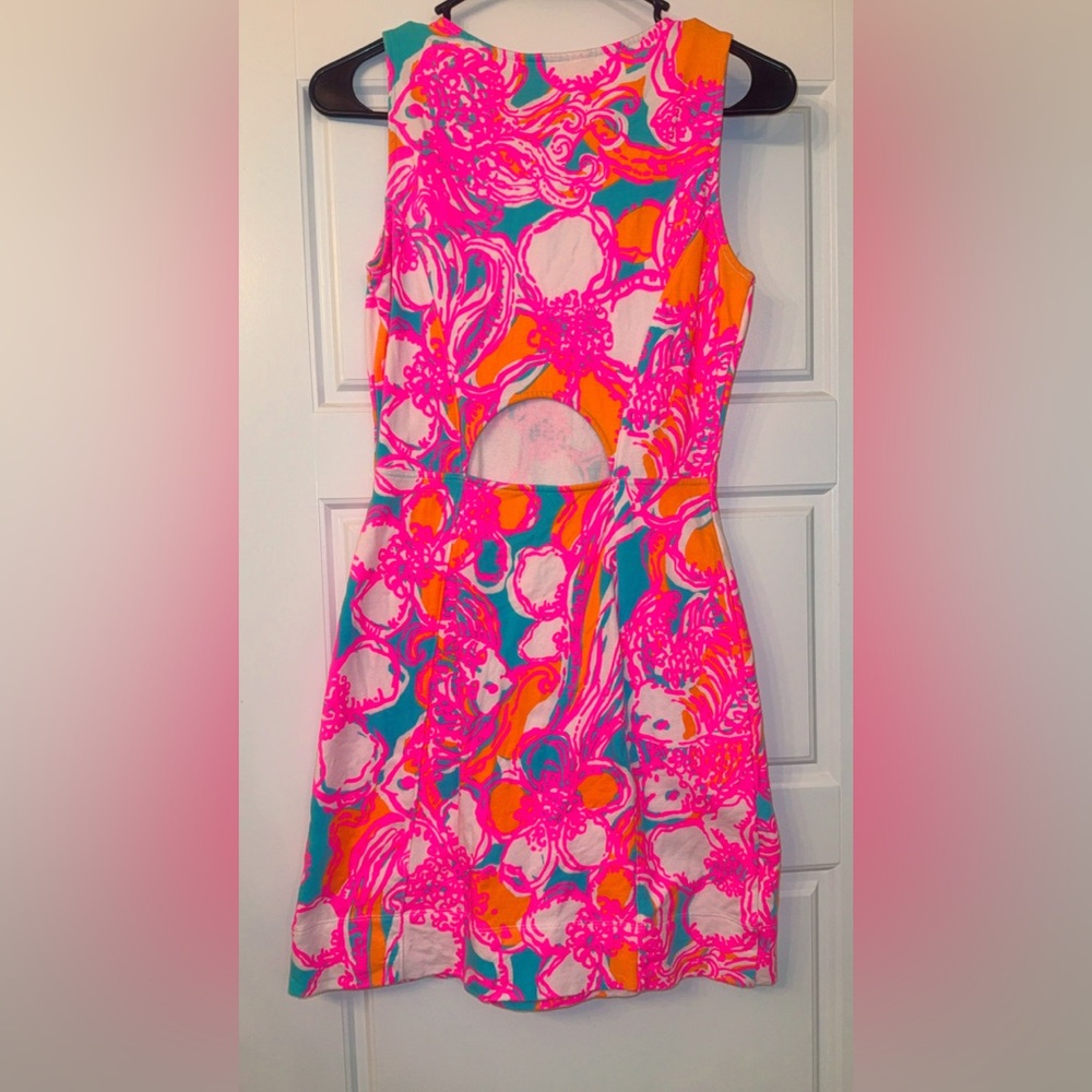 Lilly Pulitzer Dress - Picture 2 of 3